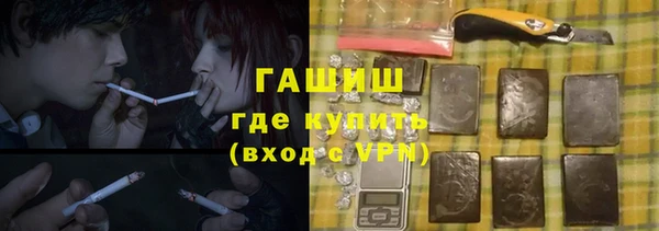 индика Беломорск