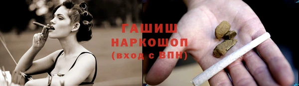 индика Беломорск