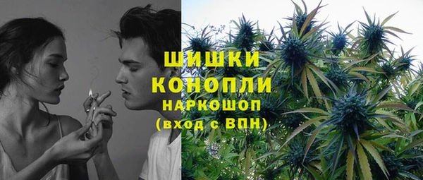 индика Беломорск