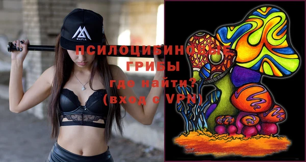 индика Беломорск