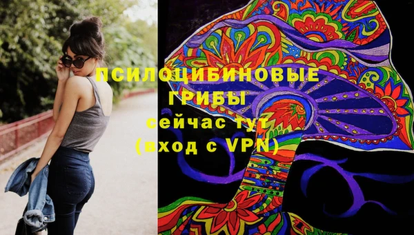прущая мука Белокуриха