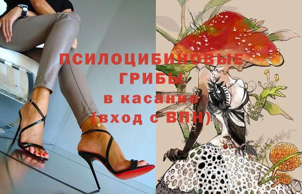 прущая мука Белокуриха