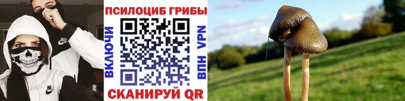 Галлюциногенные грибы MAGIC MUSHROOMS  Щёлкино 