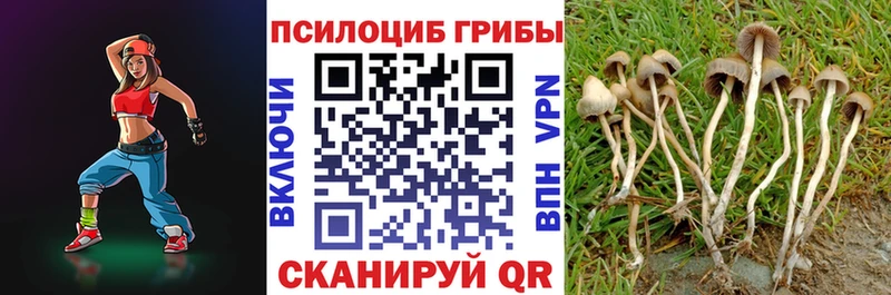 Галлюциногенные грибы Cubensis Щёлкино